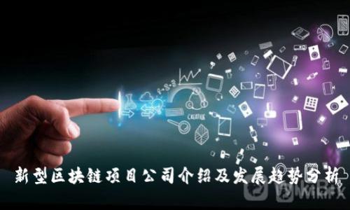 新型区块链项目公司介绍及发展趋势分析