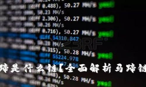 TP钱包马蹄是什么链?全面解析马蹄链及其优势