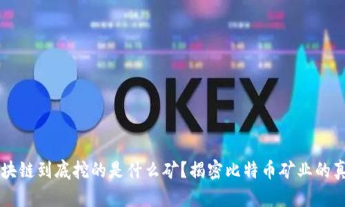 区块链到底挖的是什么矿?揭密比特币矿业的真相