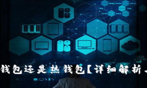 TP钱包:冷钱包还是热钱包?详细解析与使用指南