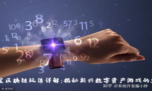 星鲨区块链玩法详解:揭秘新兴数字资产游戏的魅力