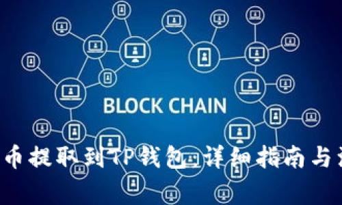 如何将U币提取到TP钱包:详细指南与注意事项