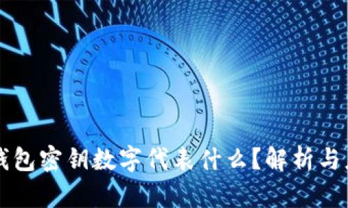 TP钱包密钥数字代表什么?解析与应用