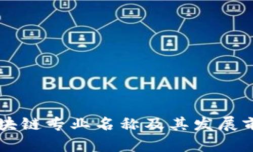 高职区块链专业名称及其发展前景解析