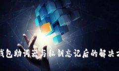 TP钱包助词器与私钥忘记后的解决方案