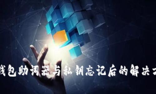 TP钱包助词器与私钥忘记后的解决方案