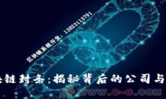 亳州区块链封条：揭秘背后的公司与技术应用