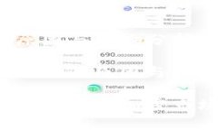 tp钱包的倒闭原因与影响分析jiaodutp钱包的倒闭原