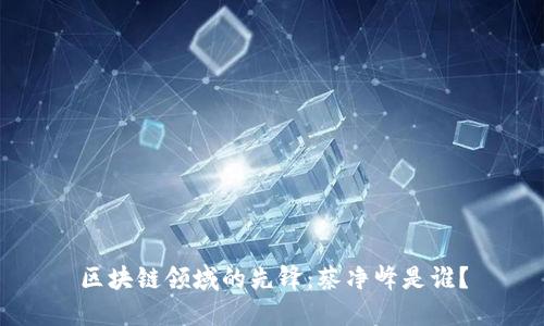 区块链领域的先锋:蔡净峰是谁?