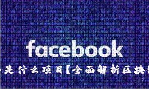 : 区块链开发任务是什么项目?全面解析区块链开发的核心内容