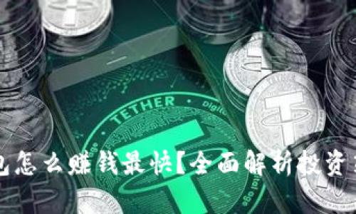 主: TP钱包怎么赚钱最快?全面解析投资策略和技巧