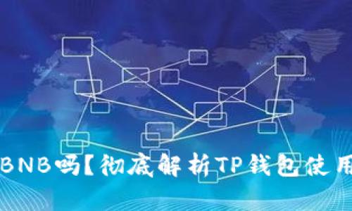 TP钱包必须有BNB吗?彻底解析TP钱包使用中的BNB需求