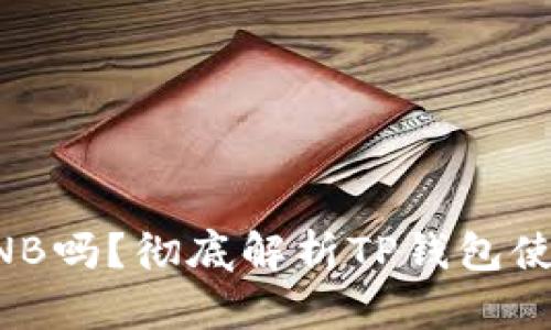 TP钱包必须有BNB吗?彻底解析TP钱包使用中的BNB需求