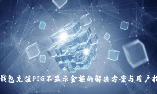 TP钱包充值PIG不显示金额的解决方案与用户指南