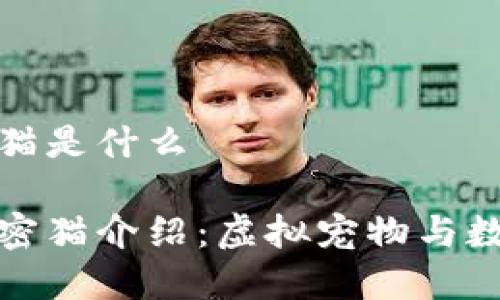 区块链中加密猫是什么

区块链中的加密猫介绍：虚拟宠物与数字资产的结合