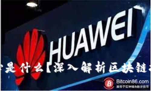 : 区块链网的核心是什么？深入解析区块链技术的基础与应用