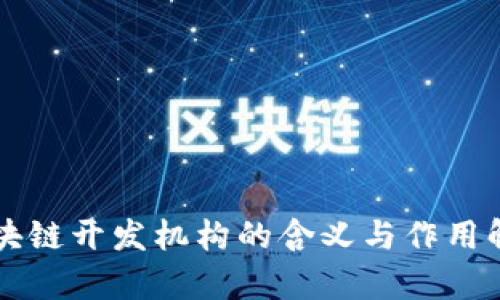 区块链开发机构的含义与作用解析
