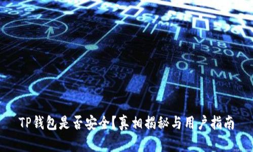 TP钱包是否安全?真相揭秘与用户指南