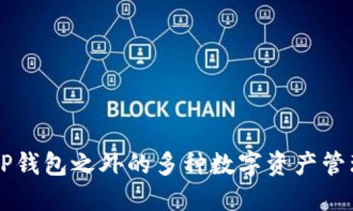 了解TP钱包之外的多种数字资产管理工具
