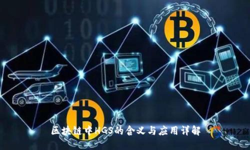 区块链中HGS的含义与应用详解