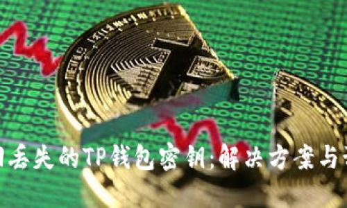 如何找回丢失的TP钱包密钥:解决方案与预防措施