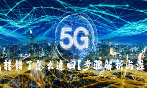 TP钱包转错了怎么追回？步骤解析与注意事项