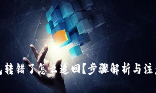 TP钱包转错了怎么追回？步骤解析与注意事项