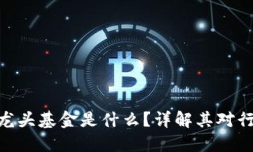 : 区块链中的龙头基金是什么?详解其对行业发展的影响