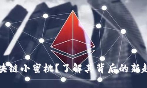 什么是区块链小蜜桃?了解其背后的新趋势与应用