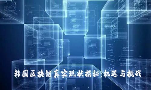 韩国区块链真实现状揭秘:机遇与挑战