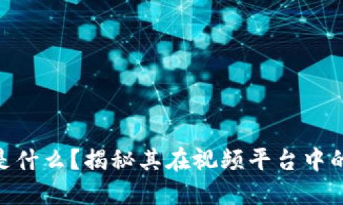 u/u区块链是什么?揭秘其在视频平台中的应用与未来