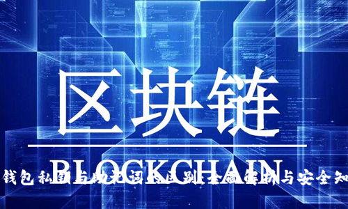 TP钱包私钥与助记词的区别：全面解析与安全知识