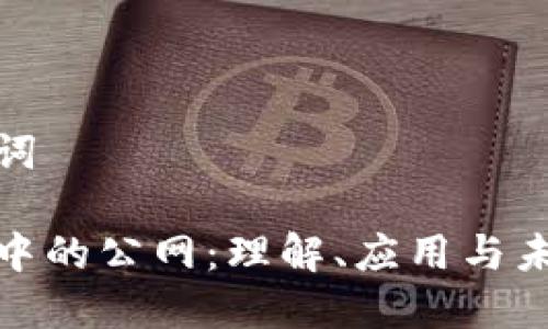 和关键词

区块链中的公网：理解、应用与未来发展