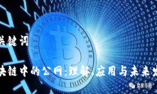 和关键词

区块链中的公网：理解、应用与未来发展