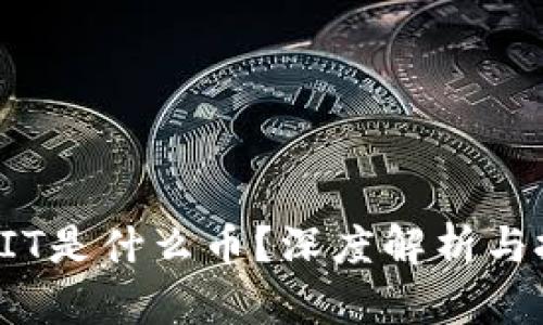 区块链SIT是什么币？深度解析与投资前景