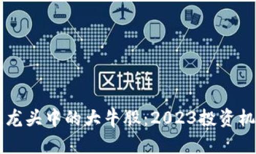 区块链龙头中的大牛股:2023投资机会分析
