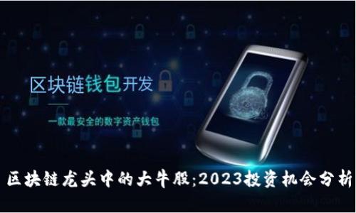 区块链龙头中的大牛股:2023投资机会分析