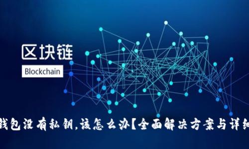 : TP钱包没有私钥,该怎么办?全面解决方案与详细解读