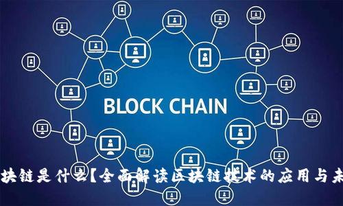 区块链是什么？全面解读区块链技术的应用与未来