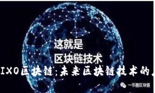 深入了解IXO区块链:未来区块链技术的应用与发展