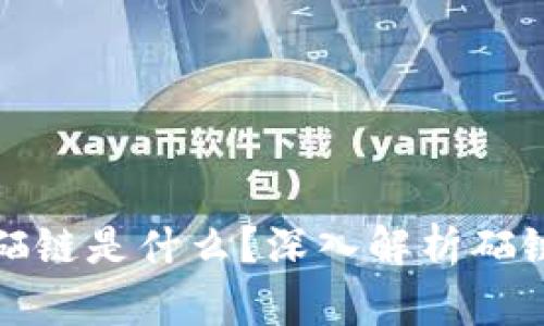 : 区块链中的硒链是什么?深入解析硒链的概念与应用