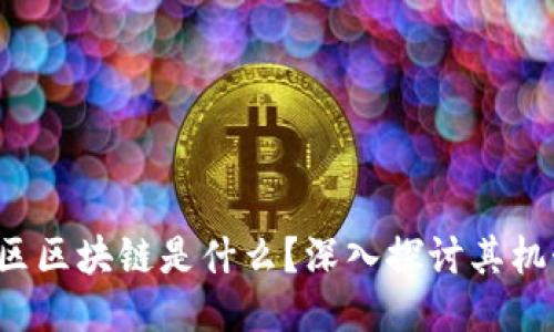  天涯社区区块链是什么？深入探讨其机制与应用