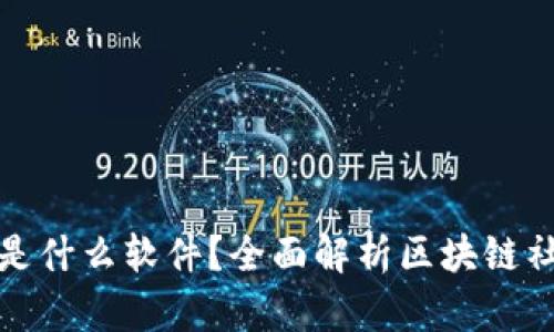 : 区块链推特是什么软件？全面解析区块链社交平台的未来