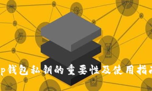 tp钱包私钥的重要性及使用指南