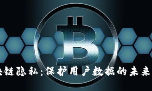 区块链隐私:保护用户数据的未来技术