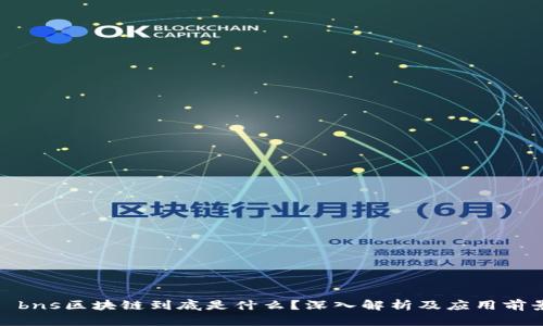 : bns区块链到底是什么?深入解析及应用前景