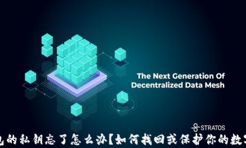 tp钱包的私钥忘了怎么办?如何找回或保护你的数字资产