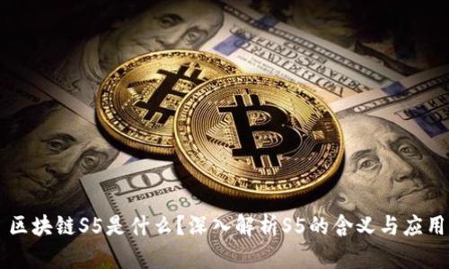 区块链S5是什么?深入解析S5的含义与应用