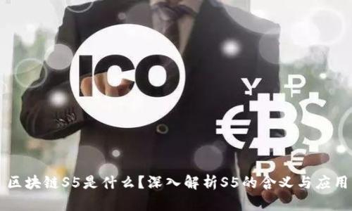 区块链S5是什么?深入解析S5的含义与应用