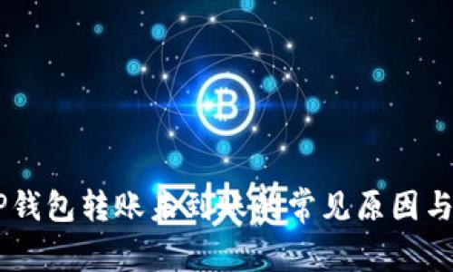币安到TP钱包转账未到账的常见原因与解决方法